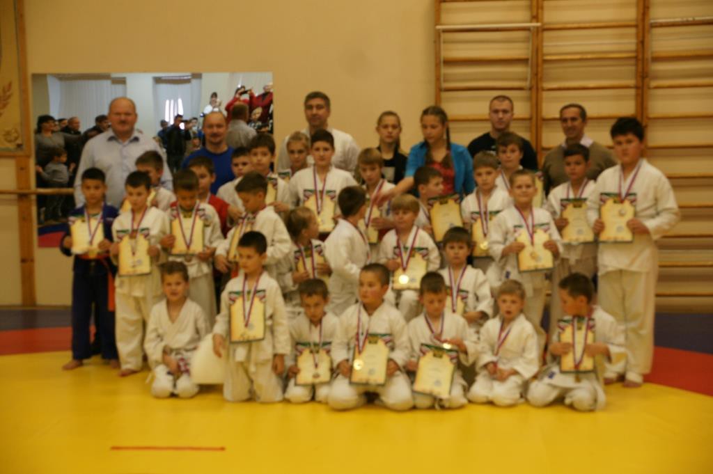 Открытый молодежный турнир Кронштадтского района по контактному каратэ